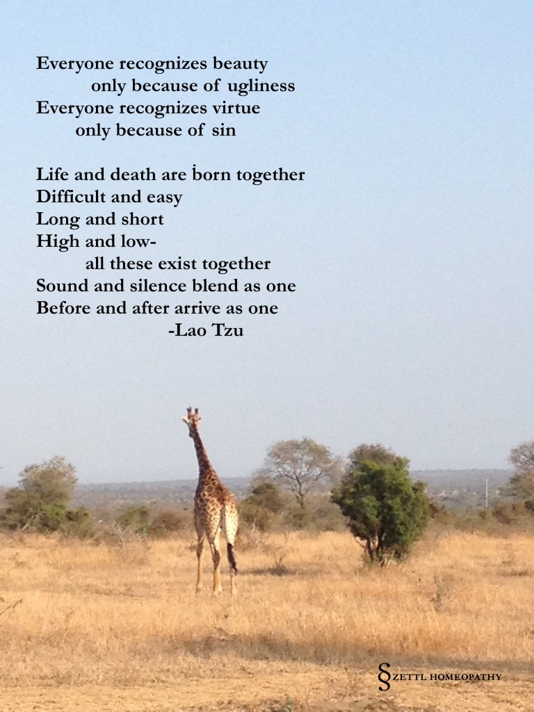giraffe walking away lao tzu